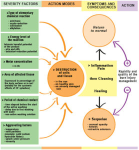 Diagram of the consequences of chemical splash