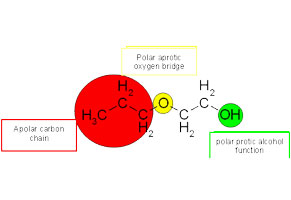 Ethylene glycol propyl ether.