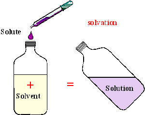 The process of solvation