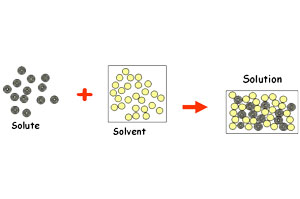 The process of Solvation